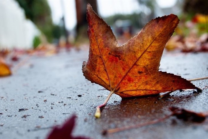 ORAI: Temperatūra kris žemyn beveik 10 laipsnių