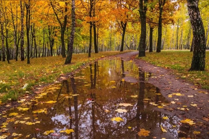 Užsitęsusi vasara ims trauktis