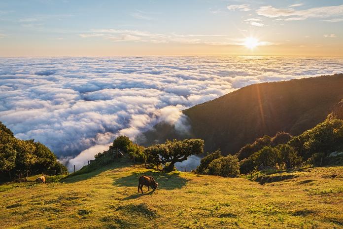 Madeira