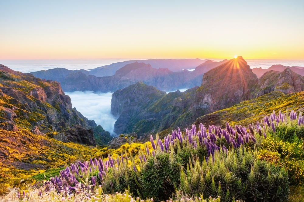 Madeira. Nuotrauka iš Shutterstock.