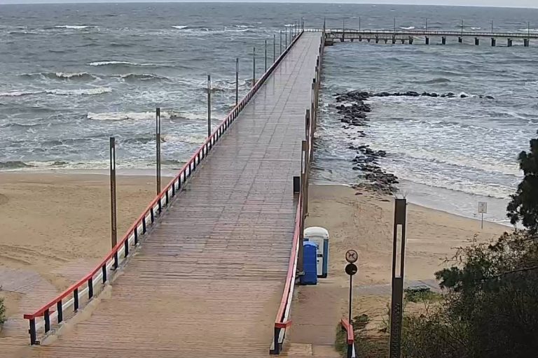 Palanga kviečia pasivaikščioti prie jūros – Rugsėjo 19 d.